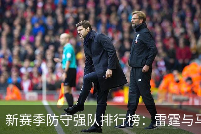 新赛季防守强队排行榜：雷霆与马刺角逐巅峰，猛龙迅速崛起